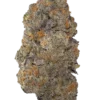 Acheter Biscotti